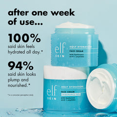 e.l.f - Holy Hydration! Face Cream