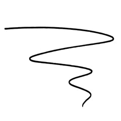 Wet n Wild Breakup Proof Skinny Waterproof Liquid Eyeliner