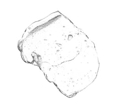 e.l.f. Mineral Infused Face Primer Clear