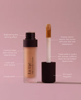 Vasanti Lit Up! High Coverage Concealer