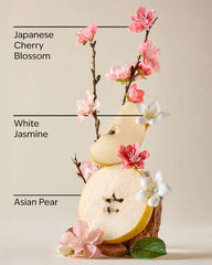 Bath And Body Works Japanese Cherry Blossom