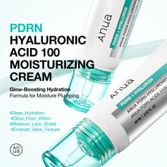 Anua PDRN HYALURONIC ACID 100 MOISTURE CREAM