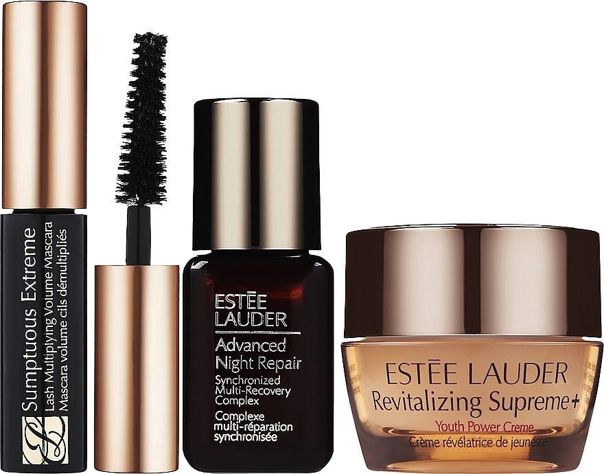 Estee Lauder GIFT! Cosmetic Bag + Products